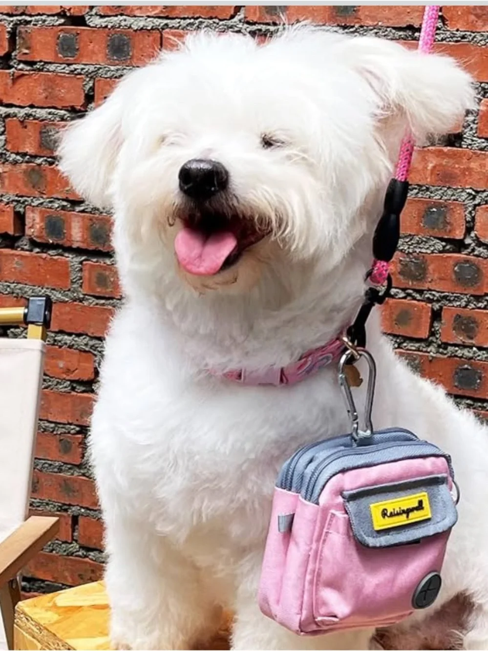 Raisingwell Dog Treat Pouch for Pet Walking and Training with Clicker Poop Bags